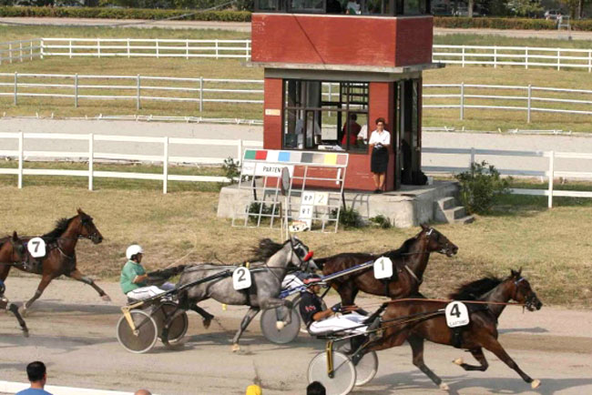 ippodromo comunale ferrara