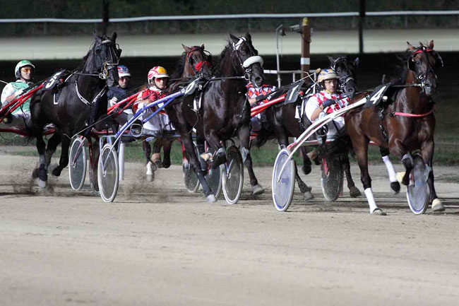 ippodromo garigliano