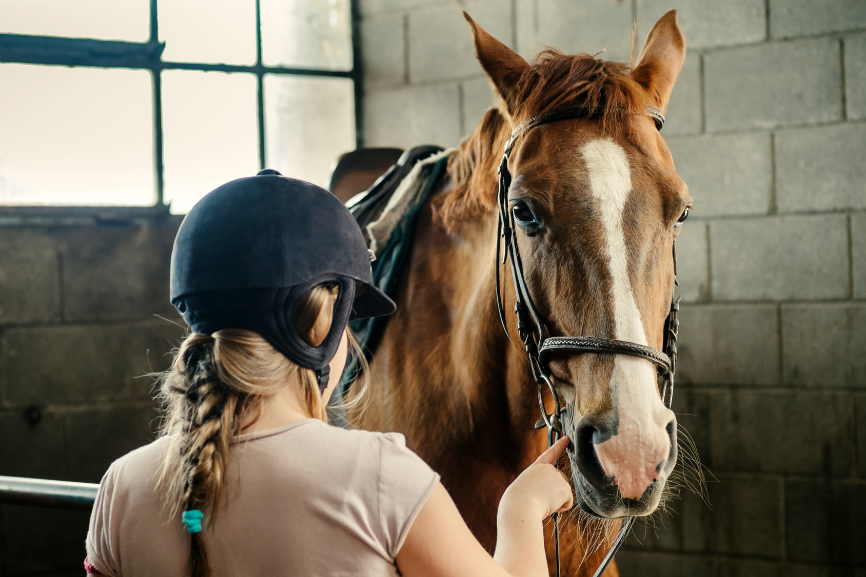 Breve storia del cavallo e le corse