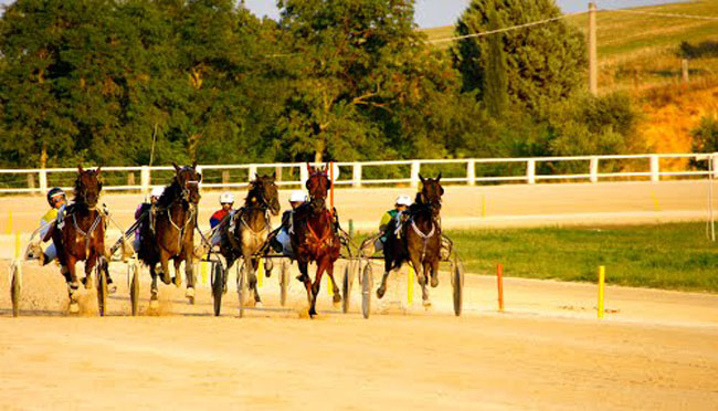 ippodromo san marone civitanova