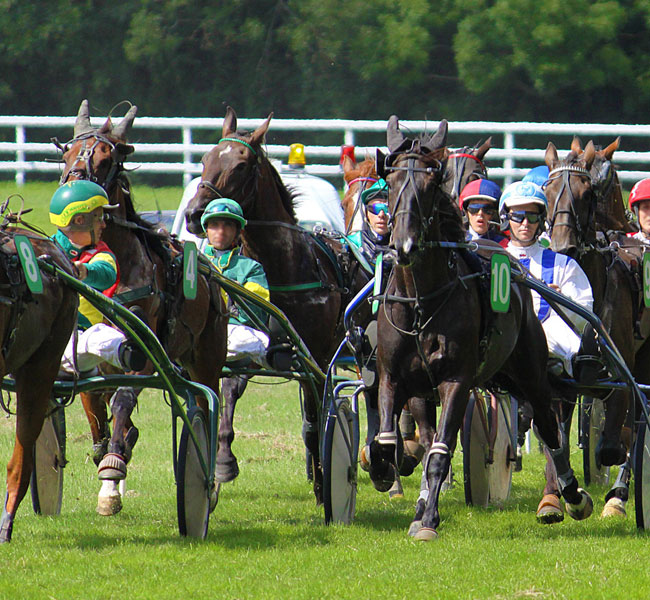 ippodromo settimi anguillara