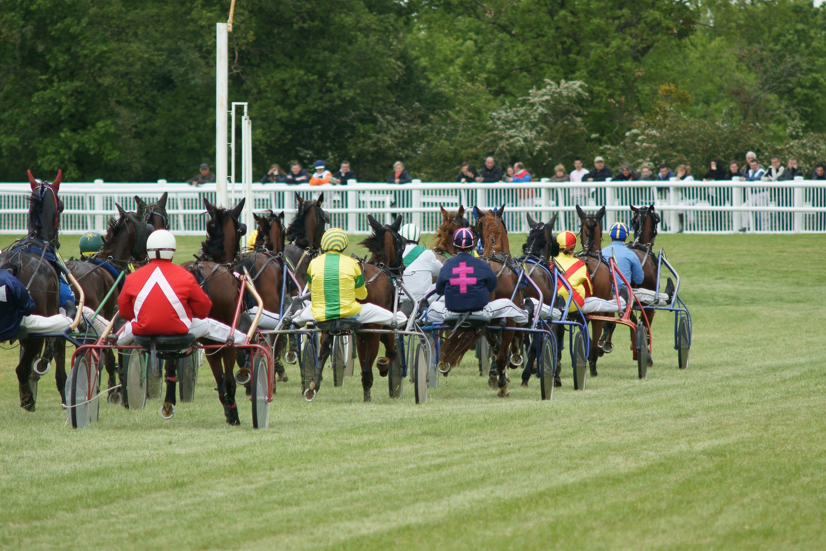 Corsa a tris a cavallo