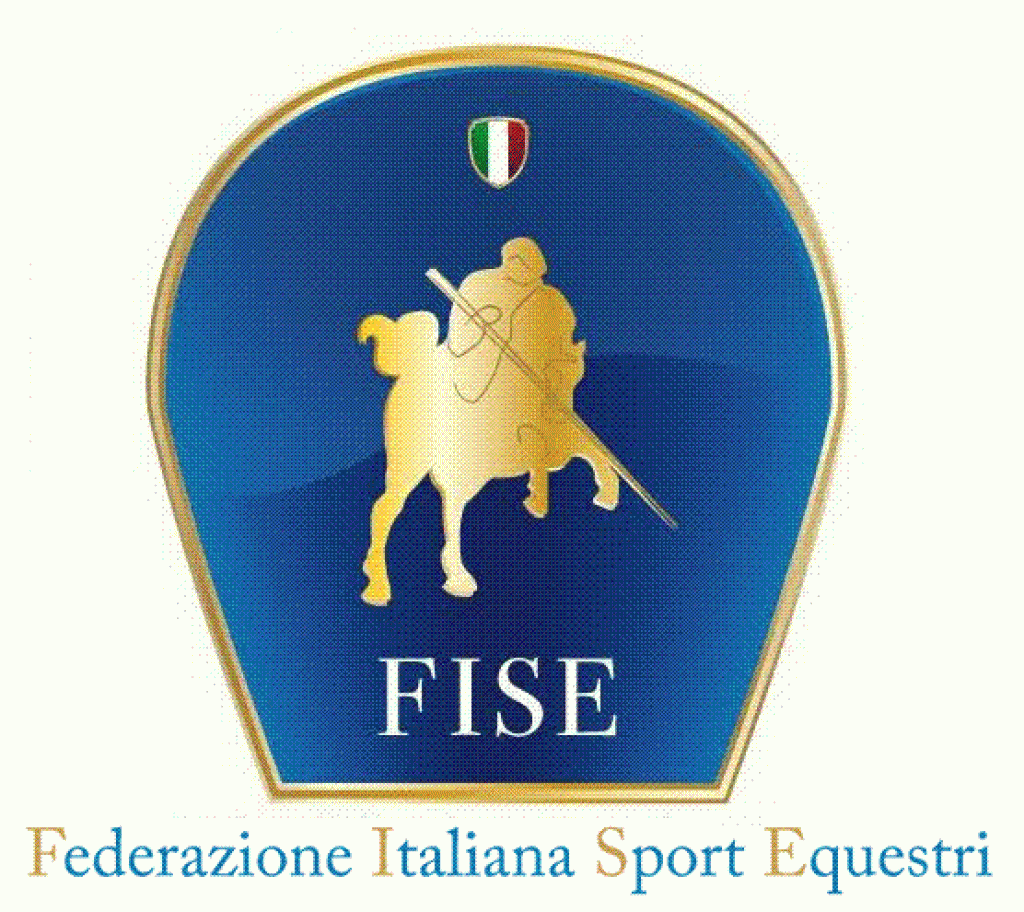 Logo FISE