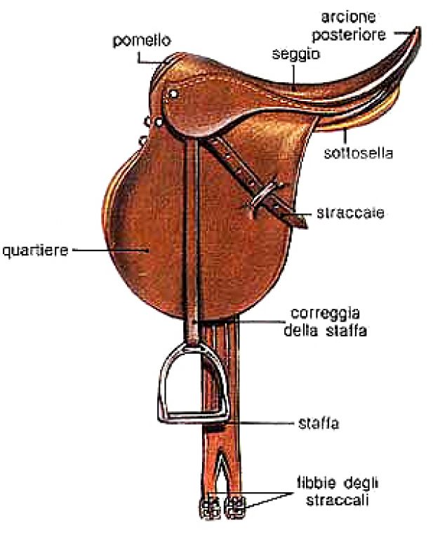 Le parti che compongono la sella inglese