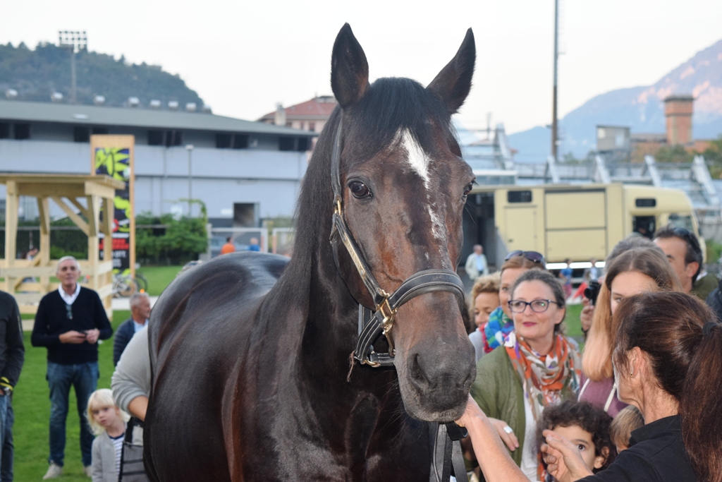 Varenne, il cavallo leggenda